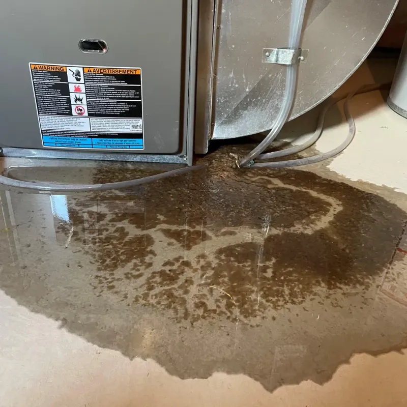 Appliance Leak Cleanup in Chittenden, VT